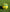 SOCCEROOS LAVA BALLS - Everything Football