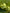 SOCCEROOS LAVA BALLS - Everything Football
