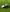 WHISTLE - METAL WITH PEA - Everything Football