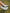 WHITE GRIP SOCKS - Everything Football