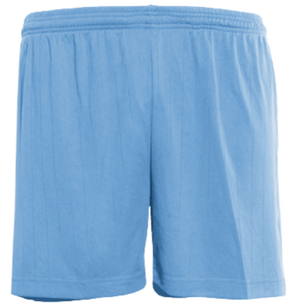 PIN STRIPED SKY BLUE SPORTS SHORTS