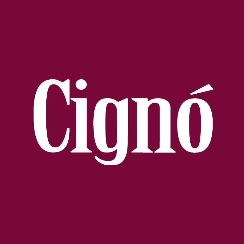 MAROON FOOTBALL SOCK - Everything Football MAROON FOOTBALL SOCKFOOTBALL SOCKS CIGNO Everything Football M cigno colour-maroon FOOTBALL SOCKS
